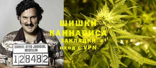 амф Липки