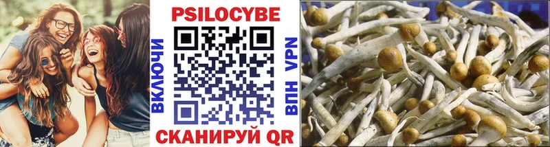 Купить Советский Псилоцибиновые грибы MAGIC MUSHROOMS